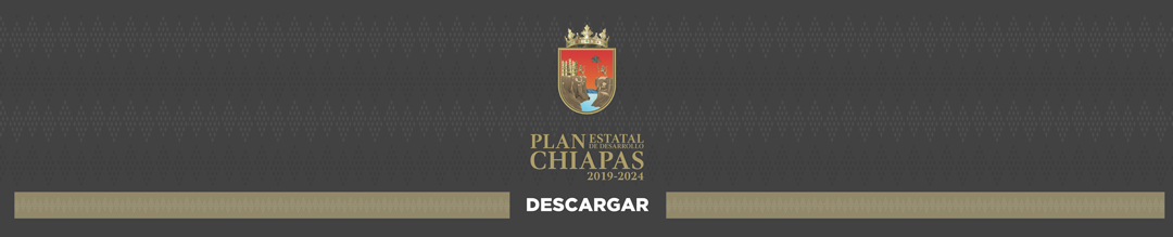 Consulta Plan de Desarollo Chiapas 2019-2024